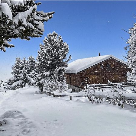 Chalet Albarose - Vercorin Zewnętrze zdjęcie